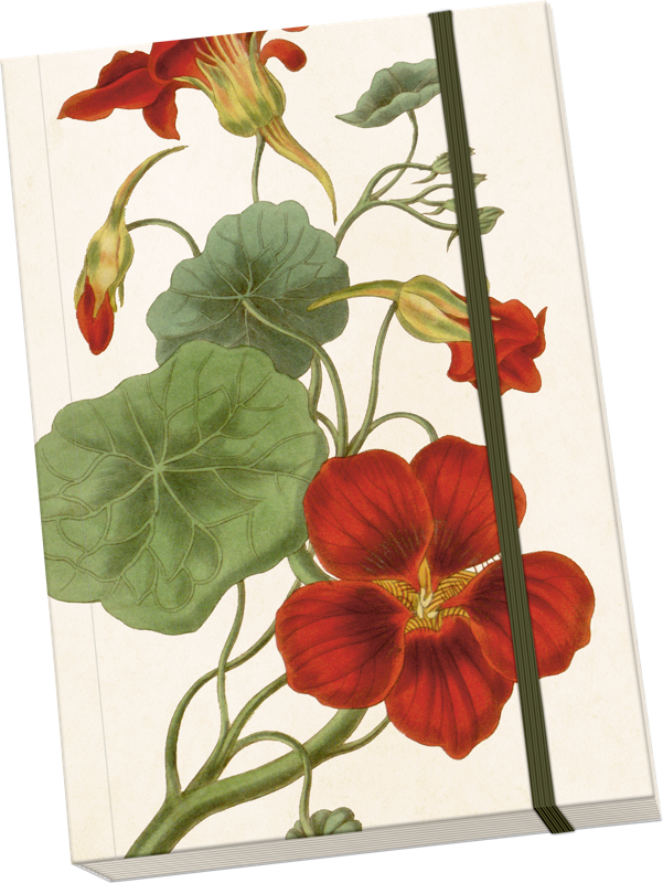 Libreta Nasturtium