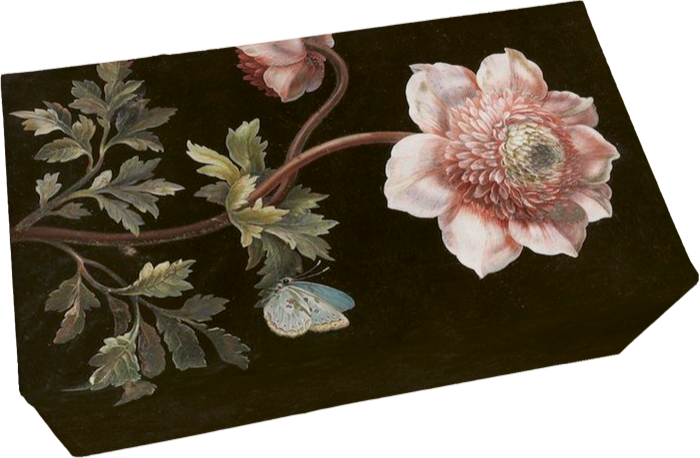 Jabón floral Ranunculo