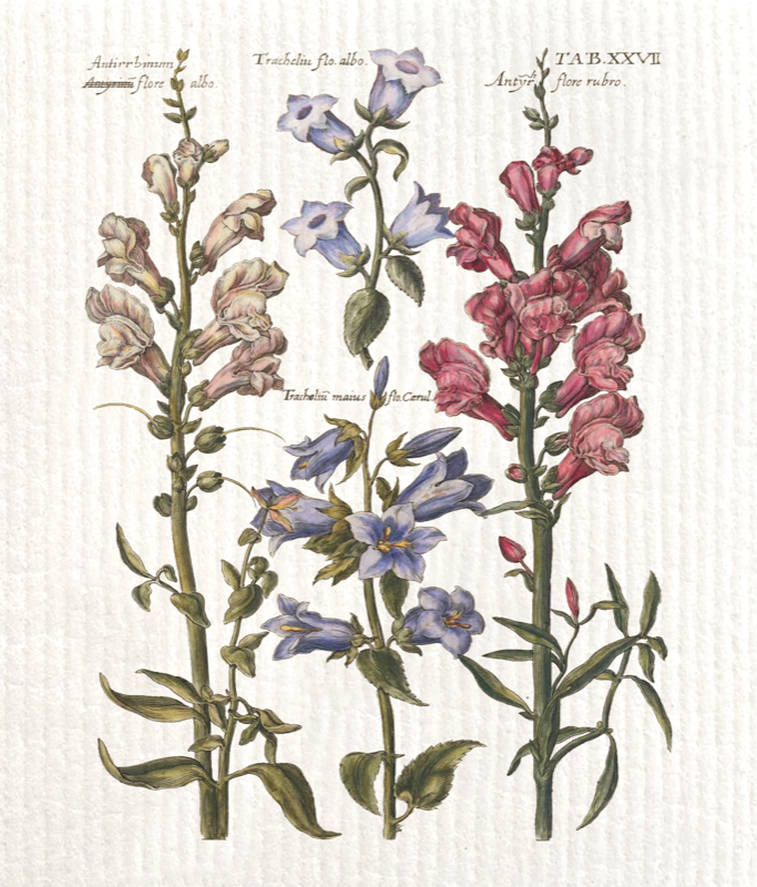 Paño de Cocina Flores