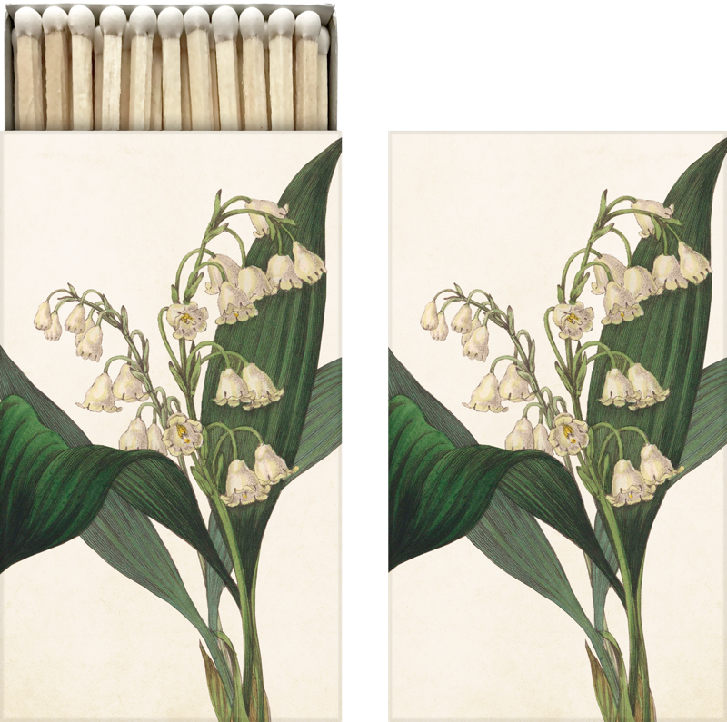 Cerillas Lily