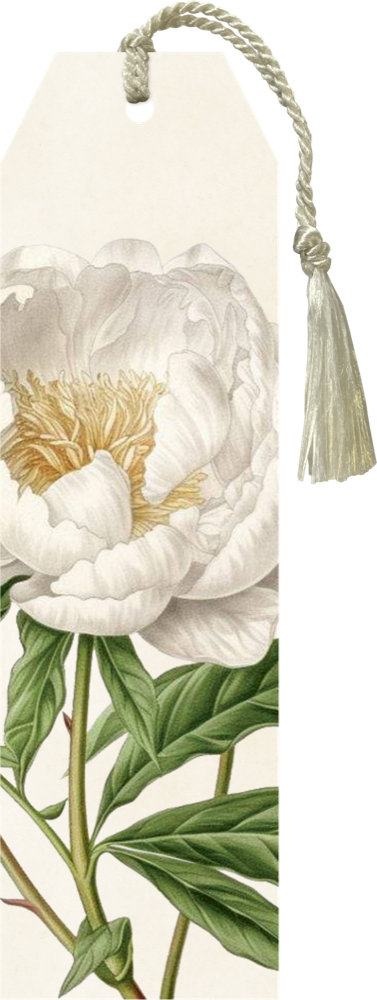 Marca Paginas Peonia